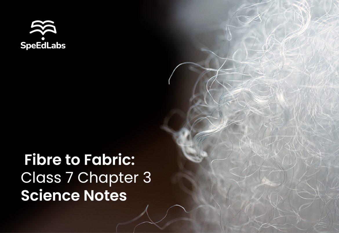 Fibre to Fabric: Class 7 Chapter 3 Science Notes Fibre to Fabric: Class 7 Chapter 3 Science Notes